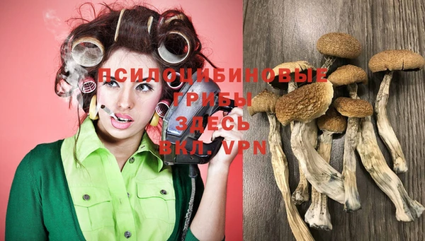 прущий лед Липки