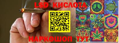 гашик Донской