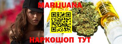 гашик Донской