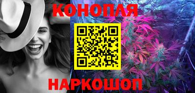 гашик Дубна