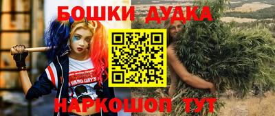гашик Дубна
