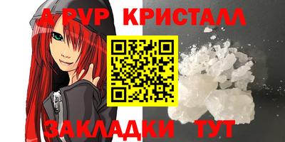 гашик Донской