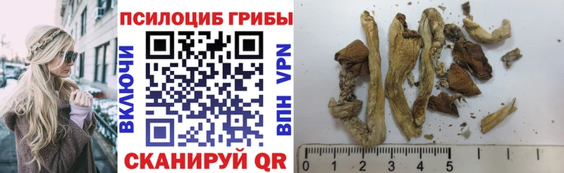 как найти закладки  Благовещенск  ссылка на мегу как войти  Галлюциногенные грибы мухоморы 